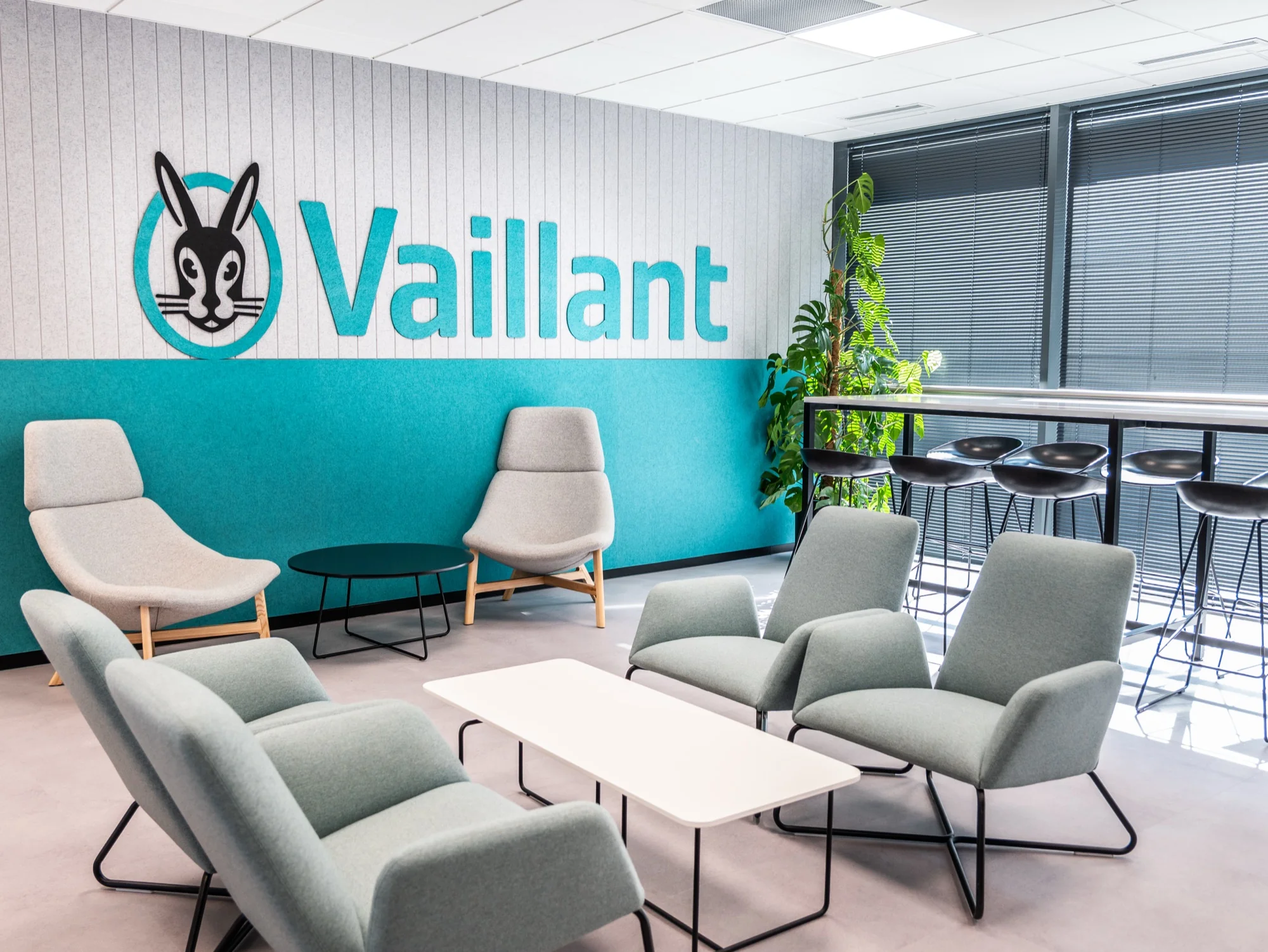 Vaillant — zdjęcie 1