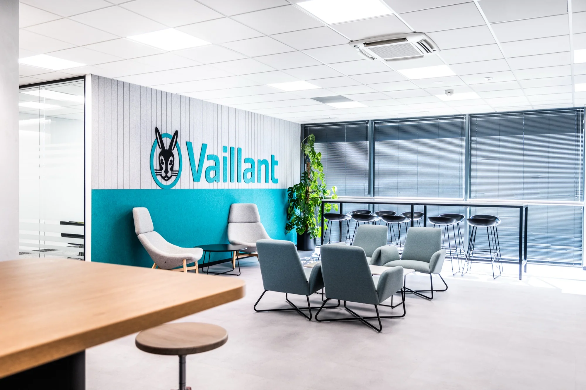 Vaillant — zdjęcie 12