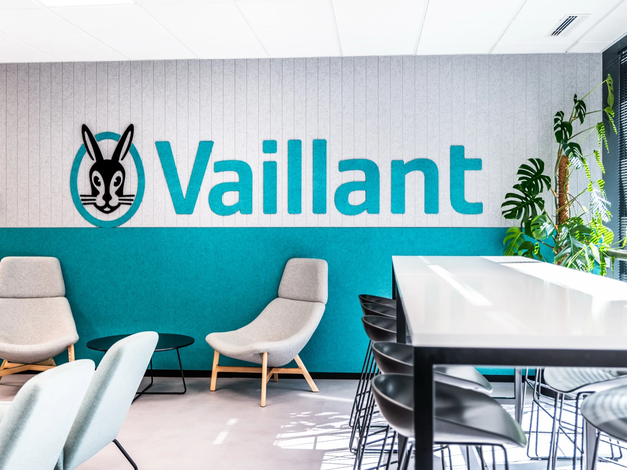 Vaillant — zdjęcie 13